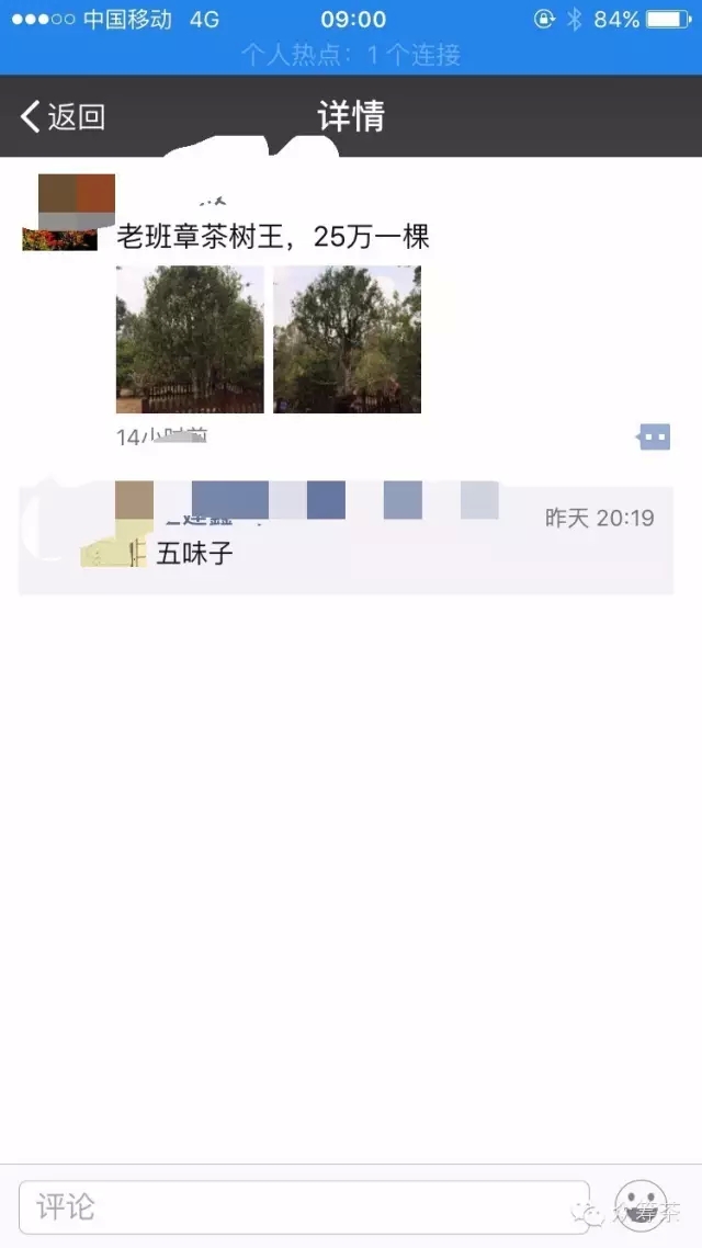 《纸上谈茶》之二:树龄的诱惑