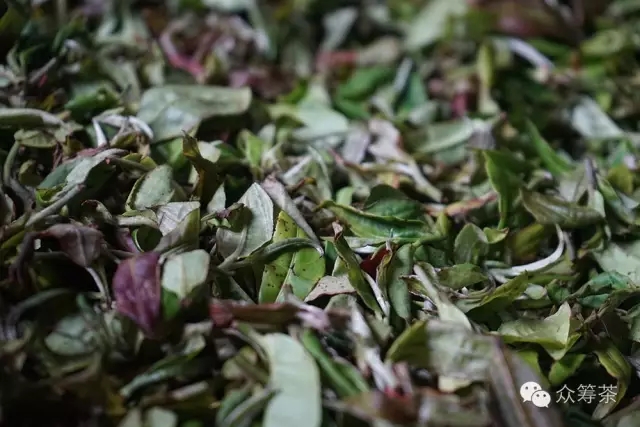 《纸上谈茶》之十一：谈谈做茶路上的坑