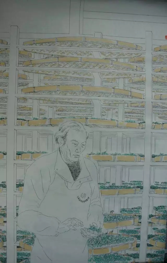 《纸上谈茶》之二十一:什么是好茶?