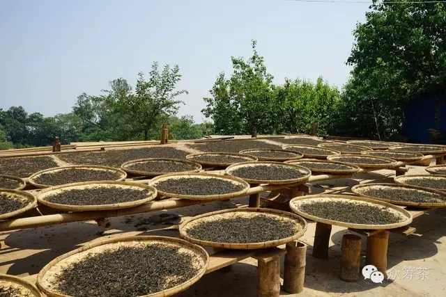 《纸上谈茶》之七：炒茶就是做茶？