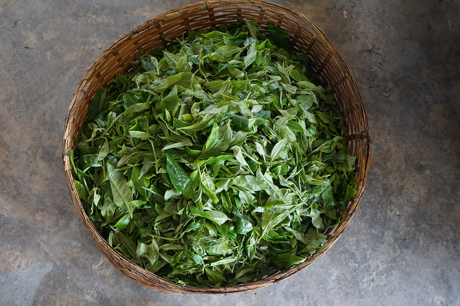 《纸上谈茶》之十六：做茶人的级别，你在哪一级？
