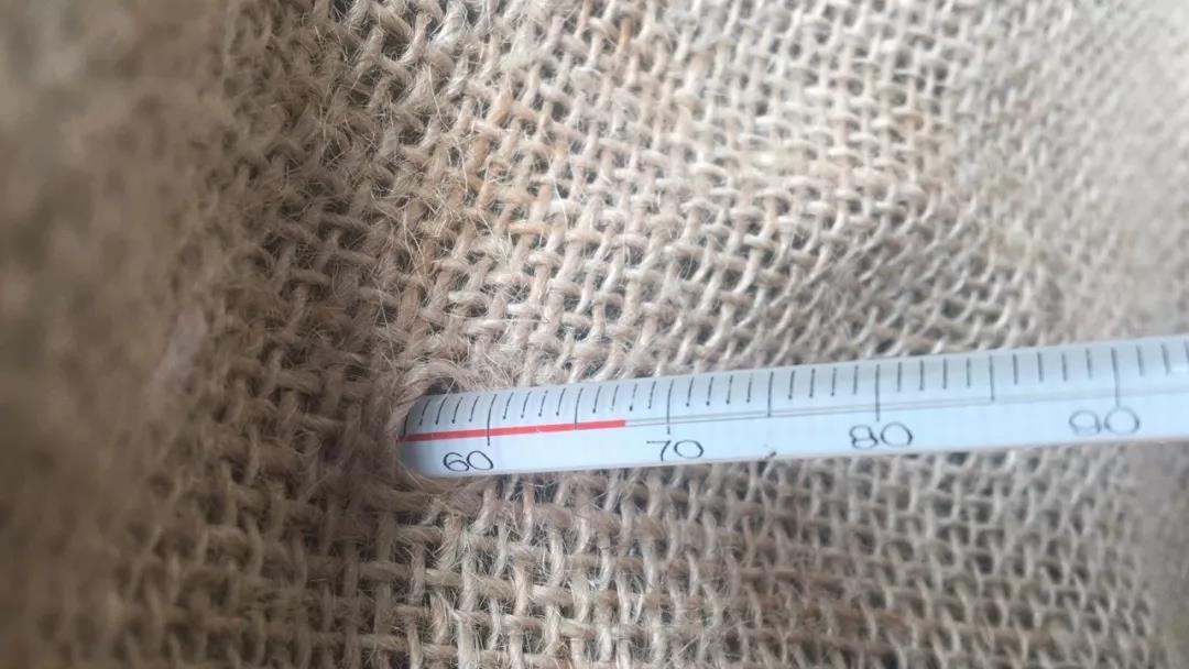《纸上谈茶》之二十三：老班章熟茶发酵过程全记录