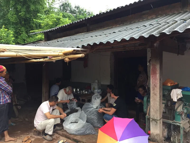 众筹茶•茶山行记