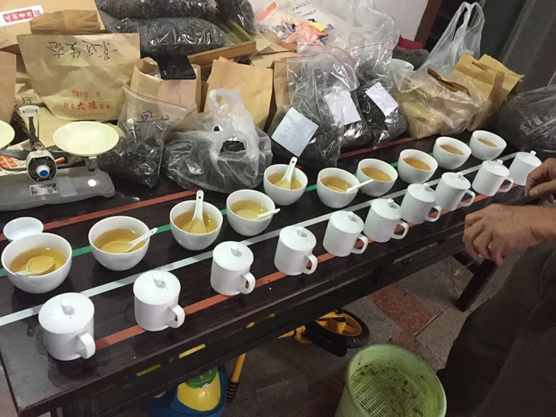 众筹茶•茶山行记