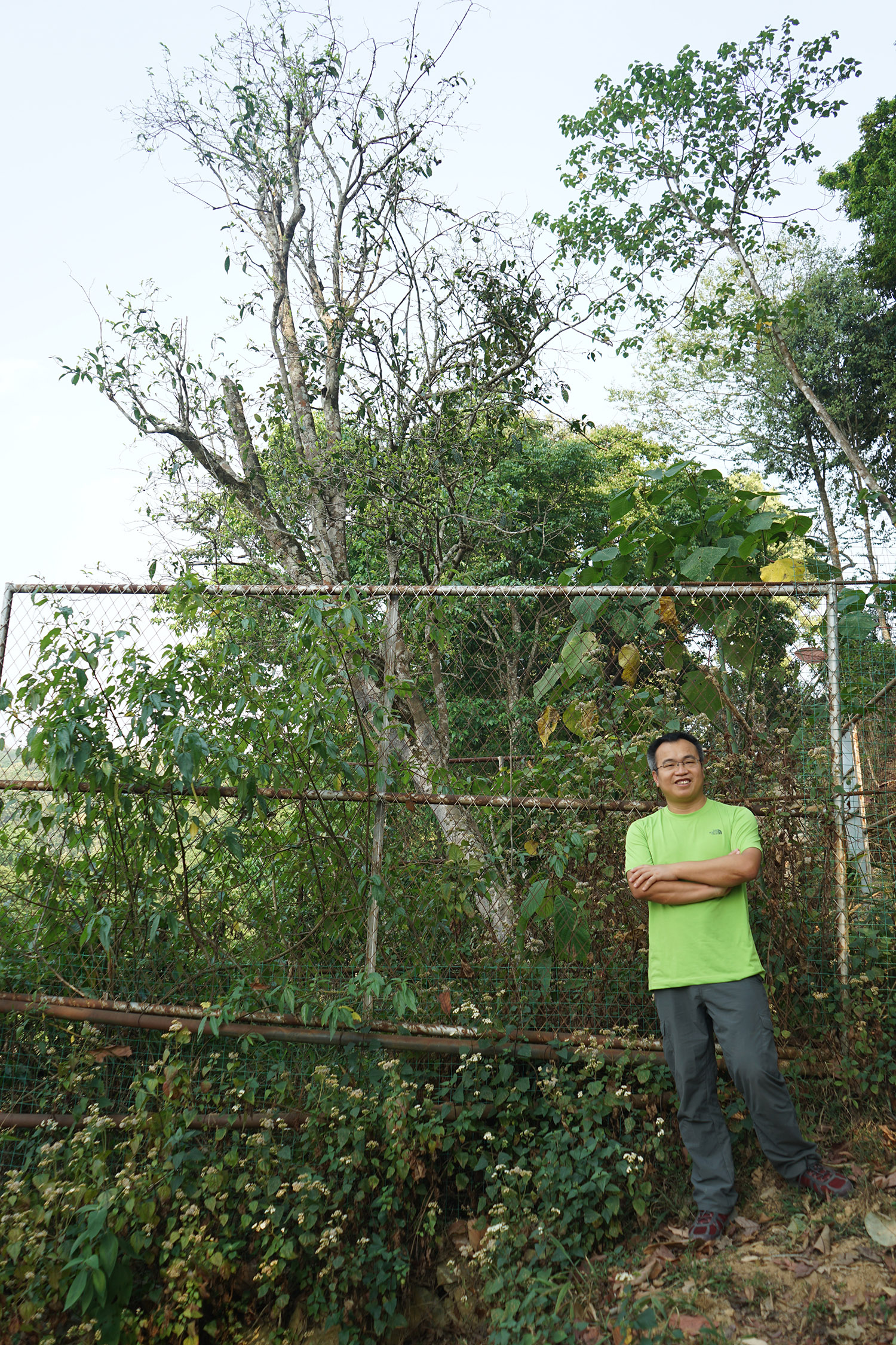 《纸上谈茶》之十六:做茶人的级别,你在哪一级?