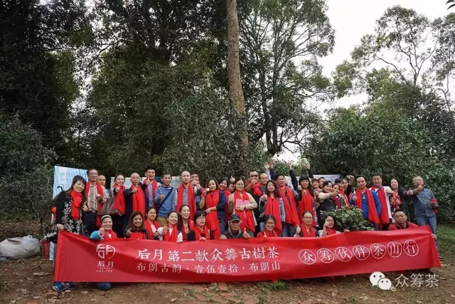 《纸上谈茶》之九：树龄的诱惑2