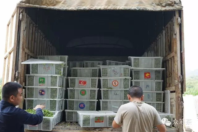 《纸上谈茶》之四：晒红是怎么炼成的