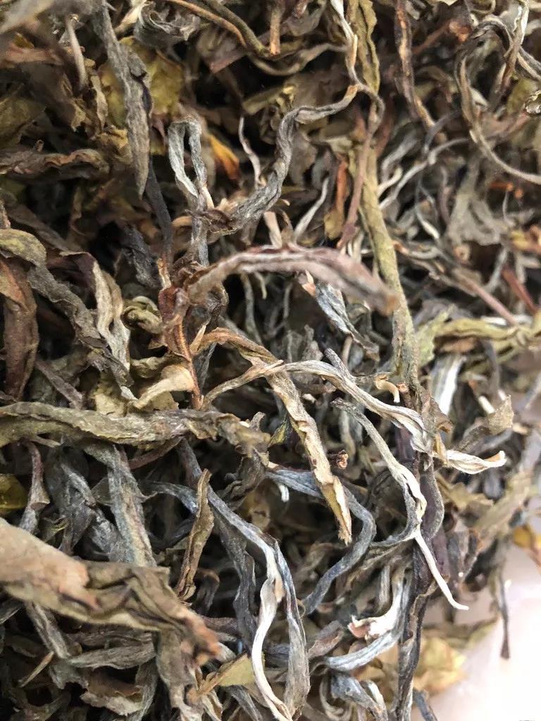 《纸上谈茶》之二十三:老班章熟茶发酵过程全记录
