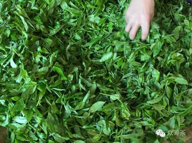 《纸上谈茶》之一:做茶和做菜