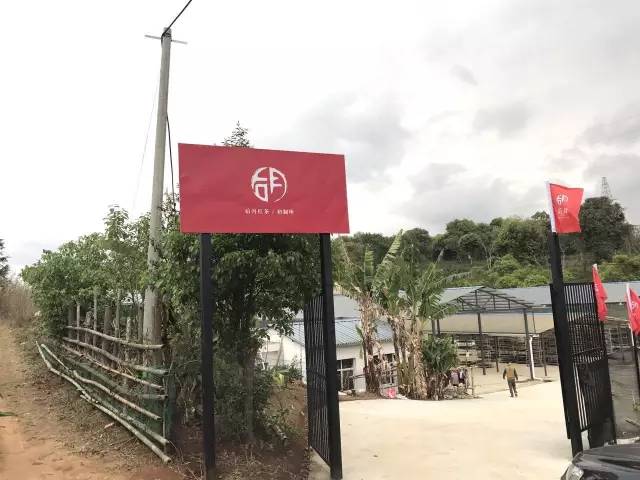 《纸上谈茶》之十七：滇红与晒红简史、晒红的来历