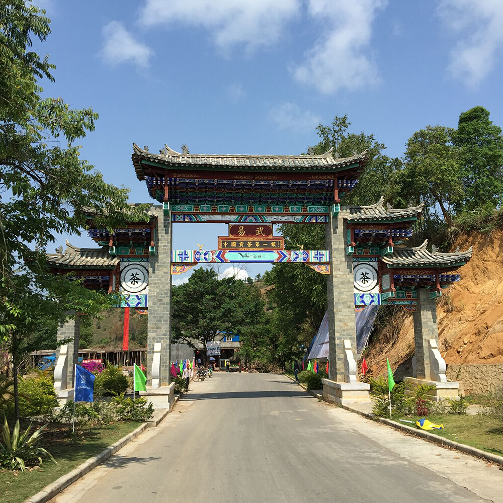 众筹茶•茶山行记