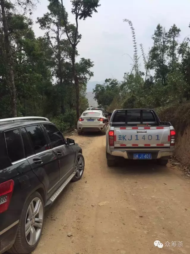 《纸上谈茶》之九：树龄的诱惑2