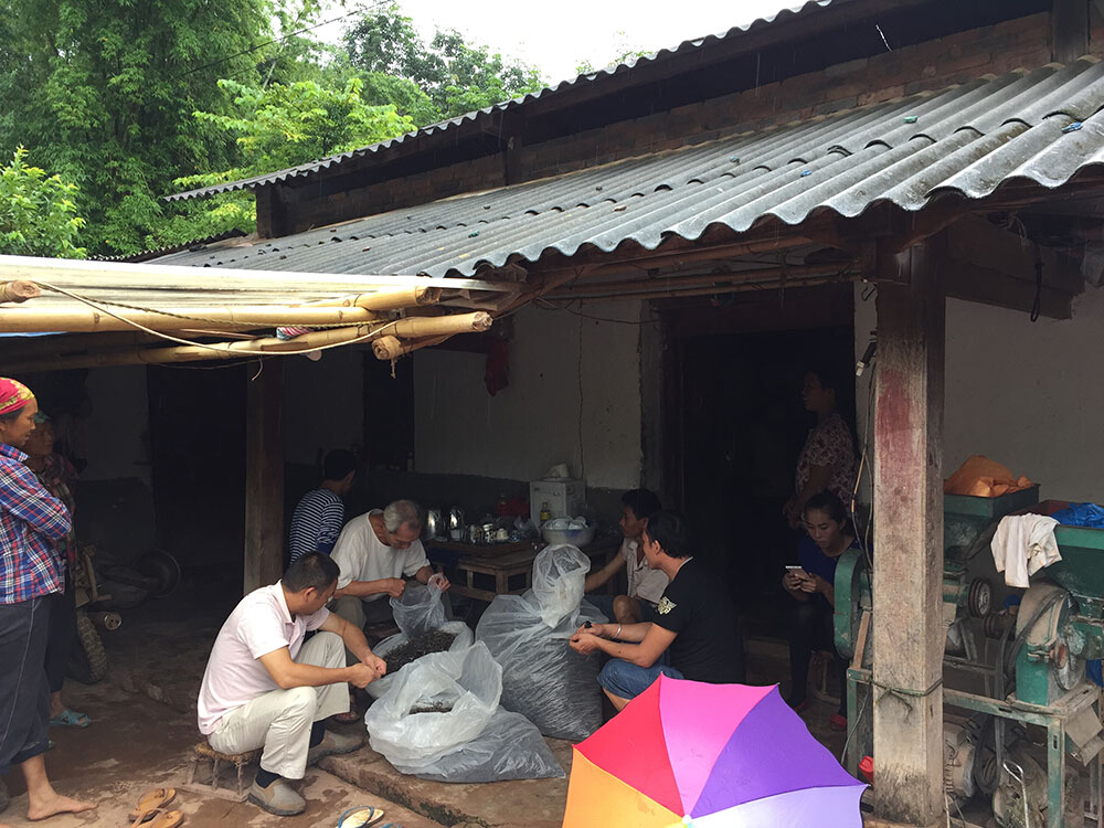 众筹茶•茶山行记