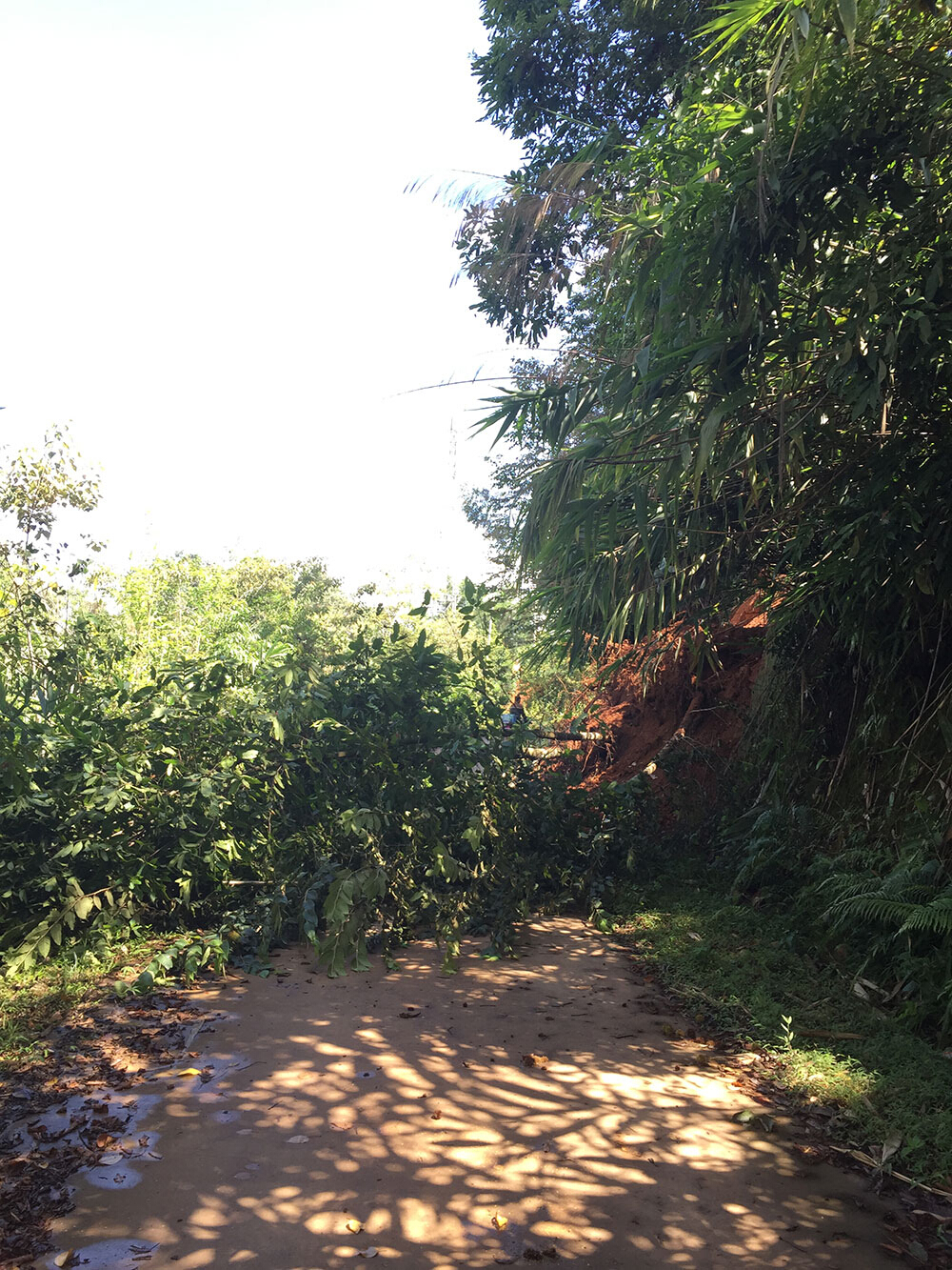 众筹茶•茶山行记