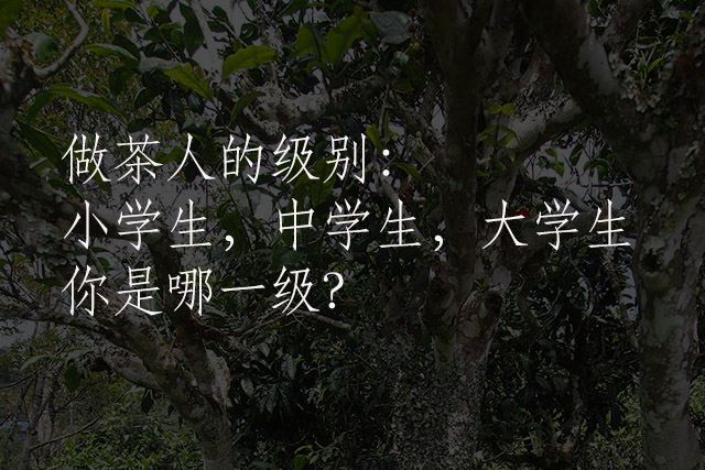 《纸上谈茶》之十六:做茶人的级别,你在哪一级?