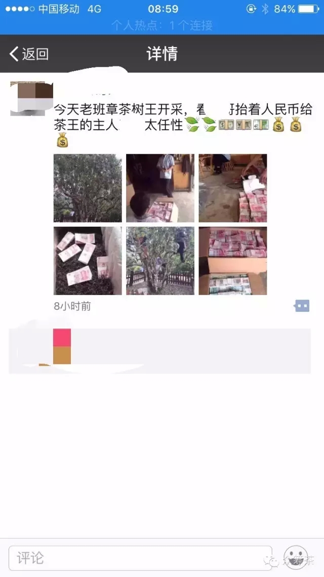 《纸上谈茶》之二:树龄的诱惑