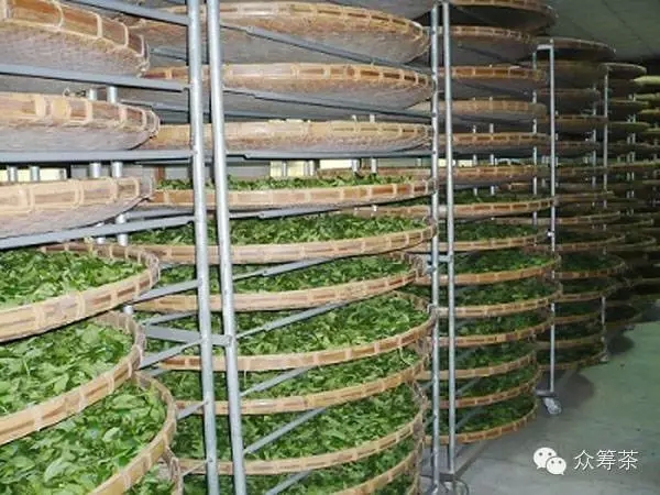 《纸上谈茶》之一:做茶和做菜