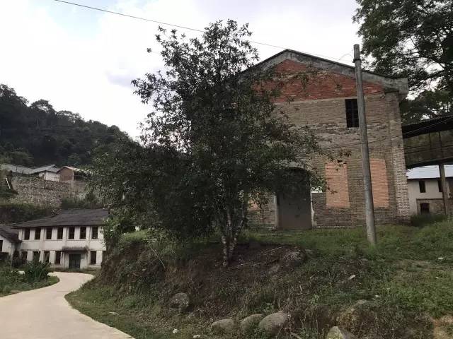 《纸上谈茶》之十七：滇红与晒红简史、晒红的来历