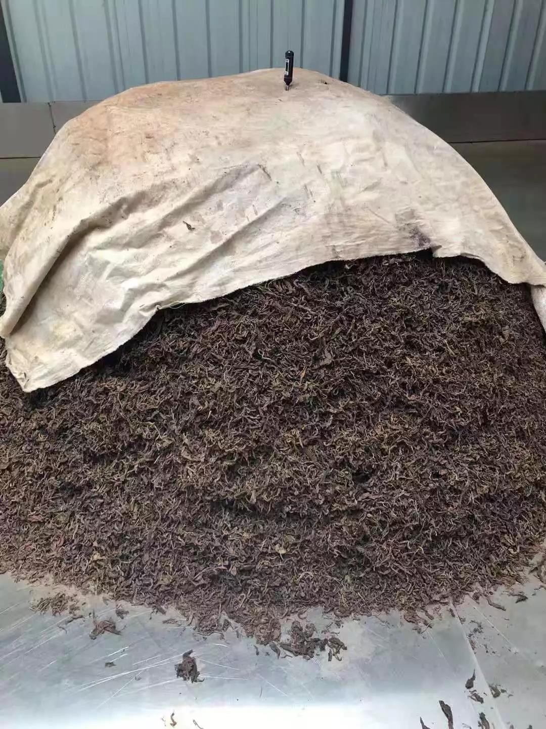 《纸上谈茶》之二十三:老班章熟茶发酵过程全记录